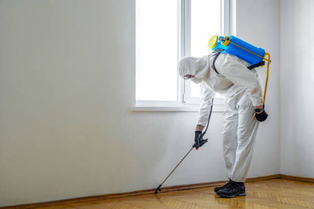 Best Pest Inspection Near Me  in Dunnstown, PA