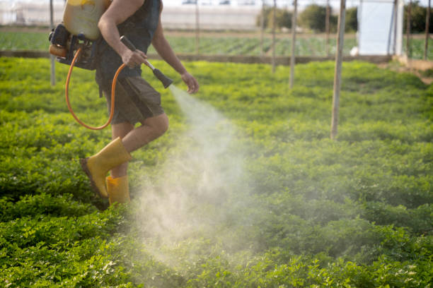 Best Pest Control for Homes  in Dunnstown, PA