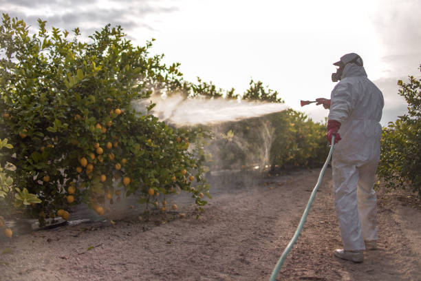 Best Best Pest Control Companies  in Dunnstown, PA