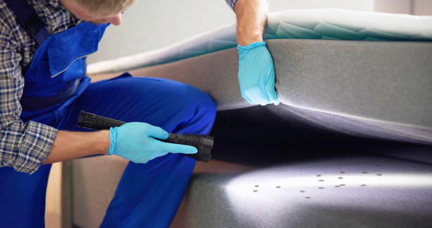 Best Rat Extermination Near Me  in Dunnstown, PA