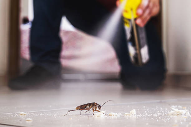 Best Pest Control for Businesses  in Dunnstown, PA