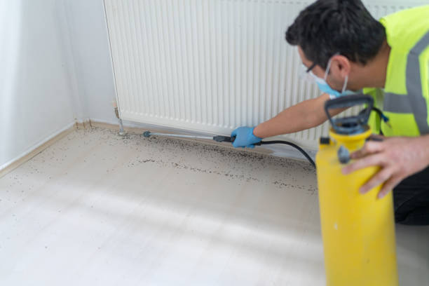 Best Commercial Pest Control Services  in Dunnstown, PA