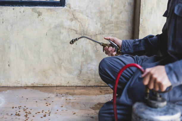 Best Termite Control Services  in Dunnstown, PA